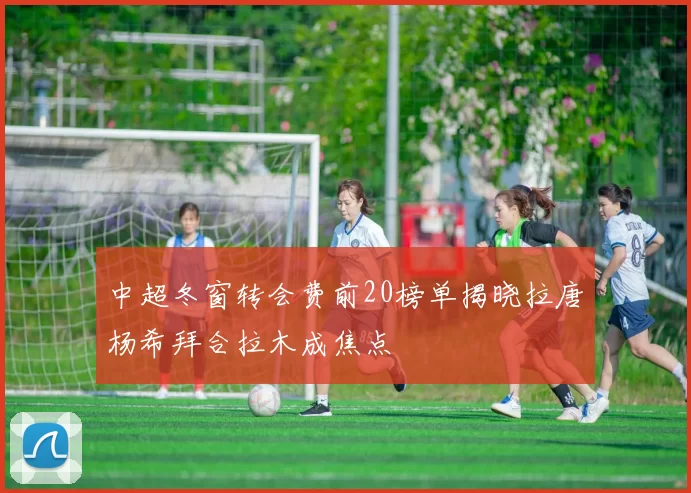 中超冬窗转会费前20榜单揭晓拉唐杨希拜合拉木成焦点