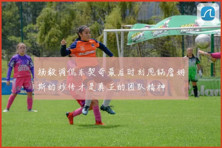 杨毅调侃东契奇最后时刻甩锅詹姆斯的妙传才是真正的团队精神